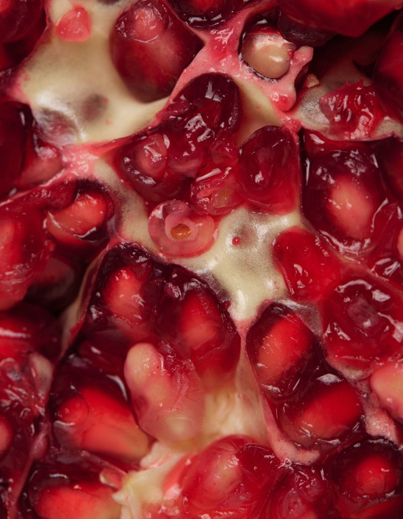 Retrato de las creadoras en su estudio con piezas escultóricas
