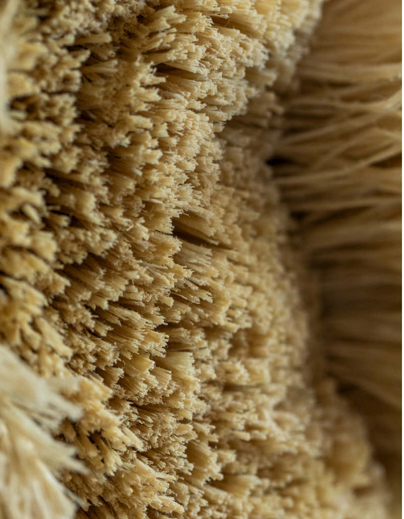 Retrato de las creadoras en su estudio con piezas escultóricas