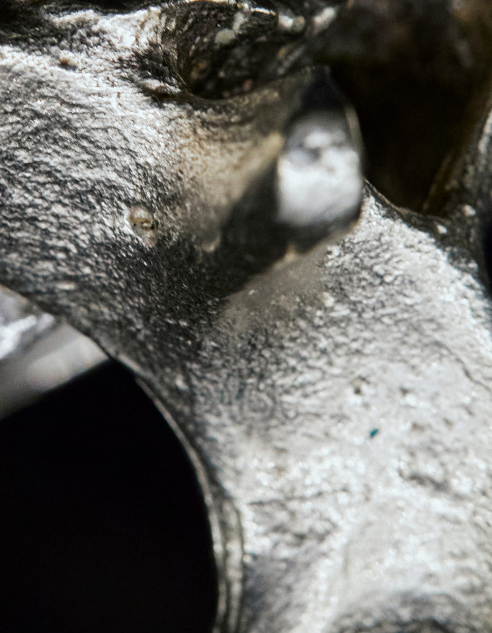Retrato de las creadoras en su estudio con piezas escultóricas
